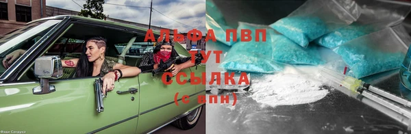 шишки Краснотурьинск