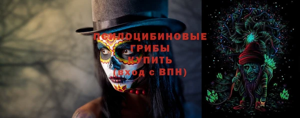 молекула духа Армянск