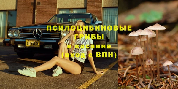 PSILOCYBIN Алексеевка