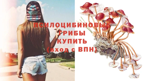 кокаин Арсеньев