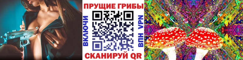 купить наркоту  Волжский  маркетплейс клад  Псилоцибиновые грибы прущие грибы 